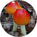 Jill West profile picture